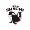 チームしゃちほこが4人体制「TEAM SHACHI」として始動！