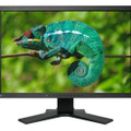 EIZO ColorEdge CG242W