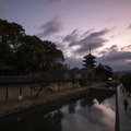 今まで知らなかった京都！「京の冬の旅」をちょっぴり体験 画像