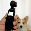 【ワンコとお出かけ　Vol.31】スタビライザー付き小型カメラ「DJI Osmo Pocket」はワンコ撮影に向いている？