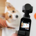 【ワンコとお出かけ　Vol.31】スタビライザー付き小型カメラ「DJI Osmo Pocket」はワンコ撮影に向いている？