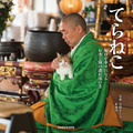 小さな寺の4匹の猫と住職の優しい日常を綴ったエッセイ『てらねこ』が発売 画像