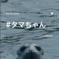 ツイッターで新元号を予想しよう！特設サイトがオープン