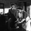 (C)1951 / STUDIOCANAL FILMS Ltd