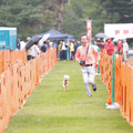 「アウトドアドッグフェスタin八ケ岳2019」参加レポート