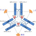 多地点テレビ会議システムの構成