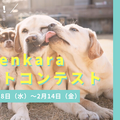 enkara、ドッグフォトコンテスト開催！第一回テーマは“犬と子どもの日常”