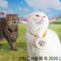 「ねこ休み展」冬の本祭が1月24日スタート！人気クリエイターのコラボも実現