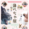 鼻ぺちゃ犬の合同写真展＆物販展「鼻ぺちゃ展 2020 in 広島」