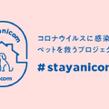 飼い主が新型コロナ感染......ペットを無償で預かるプロジェクトスタート