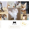 WEBねこにすと第2弾