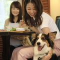 ゆとりろ蓼科ホテルwith DOGS