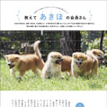 秋田犬の魅力が詰まったムック本『秋田犬と。』30日発売！会える宿も紹介