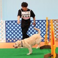 大村朋宏（トータルテンボス）と愛犬・エミル（c）フジテレビ