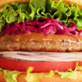 フレッシュネスバーガー、たっぷり野菜＆肉の旨味が味わえる「ガーデンサラダバーガー」発売