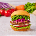 フレッシュネスバーガー、たっぷり野菜＆肉の旨味が味わえる「ガーデンサラダバーガー」発売