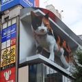 新宿駅前の巨大3D三毛猫に注目集まる！今後期待される新しい広告ビジョン