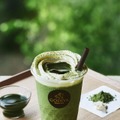 ゴディバ史上最大の抹茶濃度！「ショコリキサー 極上宇治抹茶」