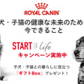 ロイヤルカナン、子犬・子猫のためのギフトBoxを1万名に進呈するキャンペーン 画像