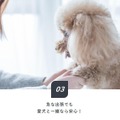 ビジネスホテルで愛犬と一緒に宿泊できるリーズナブルなプランが登場！