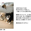 パナソニック、「保護犬猫譲渡会」開催！来場時にステッカーがもらえるSNSキャンペーンも