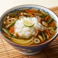 山菜おろし冷かけうどん