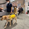 補助犬の認知向上目指す！イオンモールで歩行デモンストレーション