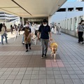 補助犬の認知向上目指す！イオンモールで歩行デモンストレーション