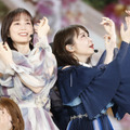 乃木坂46