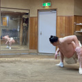 （C）TBS