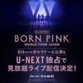 BLACKPINK、約3年ぶりの日本公演がU-NEXTでライブ配信
