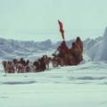 高倉健さん主演、不朽の名作『南極物語』が本日地上波放送