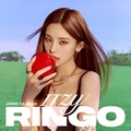 ITZY、初の日本 1st Album『RINGO』