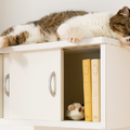猫も人も快適！ディノス、「収納棚としても使えるキャットステップ」を改良＆発売 画像