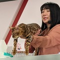 ジャパンキャットショー＠撮影：渡邉