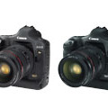 キヤノン、「EOS-1Ds Mark II」「EOS-1D Mark II」用ファームウェアを更新　画像消失問題を解消 画像