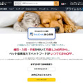 Amazon、ペット保険「わんにゃん安心保険」発売