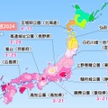 桜開花トップは東京の3月18日！平年より早まる見込み