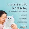 二子玉川に「ねこTAMA DAYS CAFE」期間限定オープン 画像