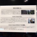 間伐の意義と、坂本龍一氏を中心にした団体「more trees」の説明