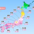 ウェザーニューズ、今週末から桜開花スタート！トップは高知で3月22日、東京は24日予想