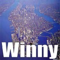 「Winny」のアイコンの元画像とされる写真。「WinMX」の「MX」を1文字ずらし「NY」とし、そこからニューヨークの写真が採用されたと言われている