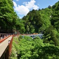 トロッコ電車で行く黒薙温泉満喫噴泉見学ツアー