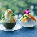 ホテル雅叙園東京、極上の氷菓子「リッチシェイブアイス」を夏季限定発売 画像
