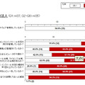 調査結果（独立行政法人）