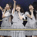 「乃木坂46 13th YEAR BIRTHDAY LIVE」撮影：鈴木健太(KENTA Inc.)