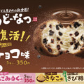 丸亀うどーなつ　チョコ味　