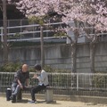 『ザ・ドキュメント 出口なき部屋～介護離職 救いはどこに～』　（C）カンテレ