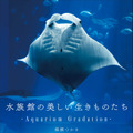 90種類以上の“生きものたち”を収録！「水族館の美しい生きものたち」写真集が好評発売中 画像