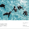 『水族館の美しい生きものたち －Aquarium Gradation－』株式会社KADOKAWA